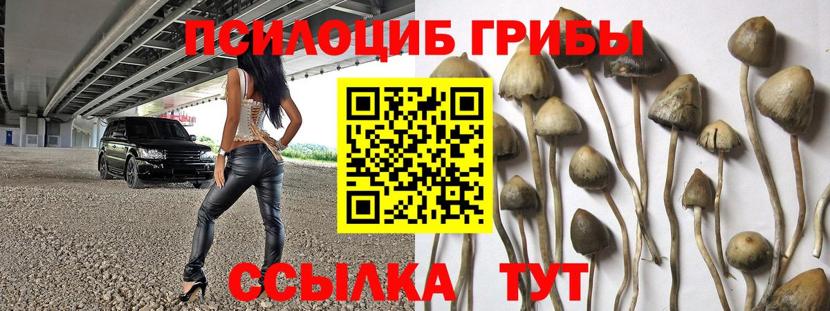 Галлюциногенные грибы MAGIC MUSHROOMS Елабуга