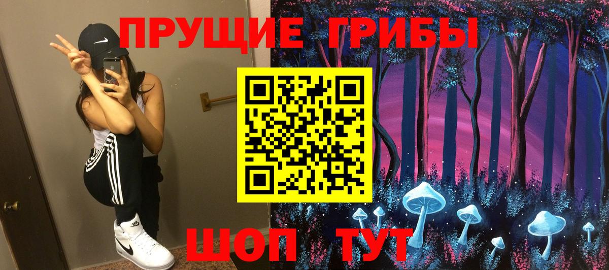 Елабуга  Галлюциногенные грибы Psilocybine cubensis  Вход с VPN 